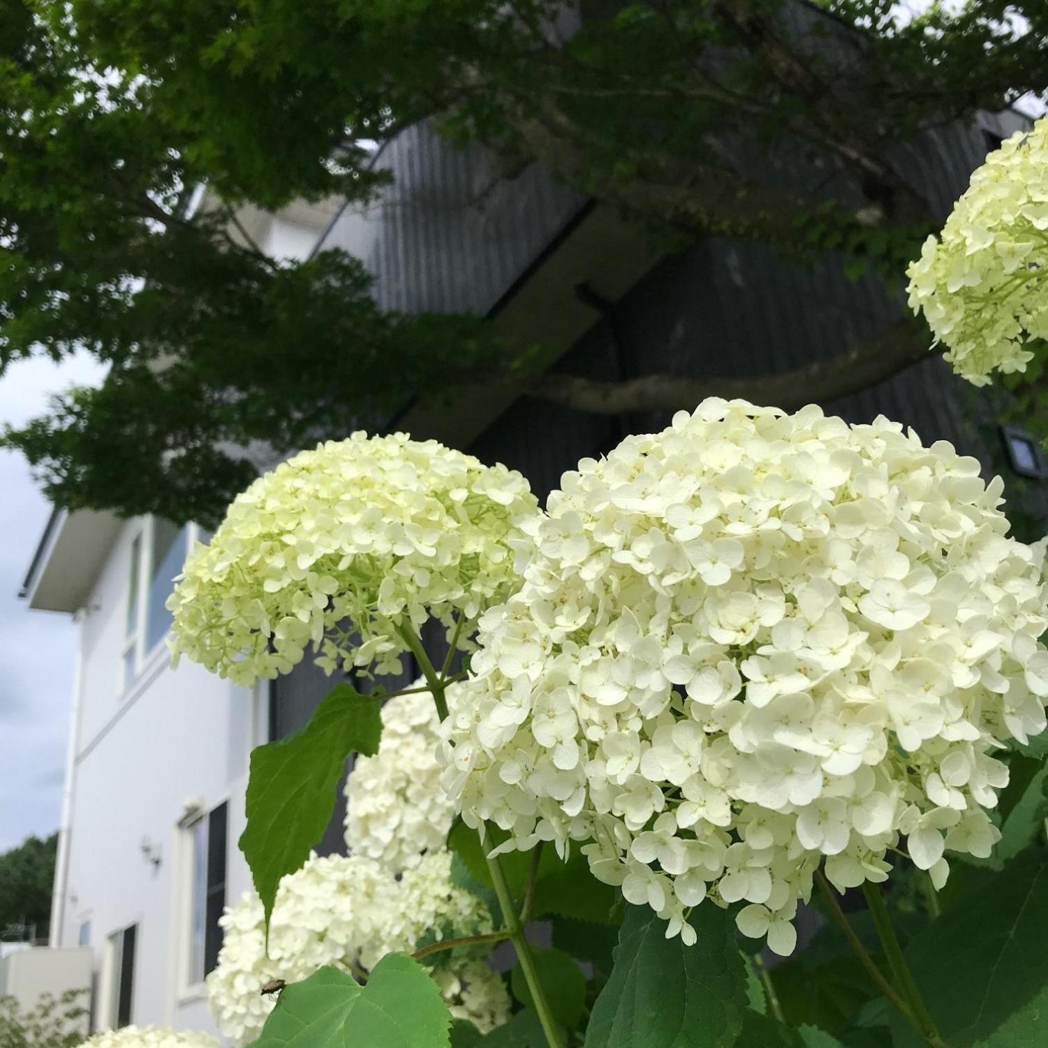 Sweet Villa Takasama - Vacation Stay 11775 Fujiyoshida Exteriör bild